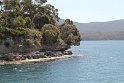 IMG_4739