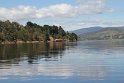IMG_4907