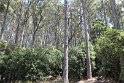 IMG_4969