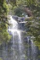IMG_4980