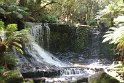 IMG_4991