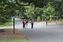 IMG_6910