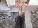 IMG_3831