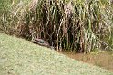 IMG_6819