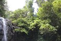 IMG_6865
