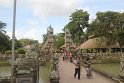 IMG_9008