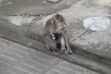IMG_9047