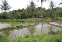 IMG_9218