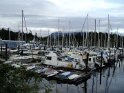 DSC00556
