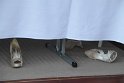 IMG_7295