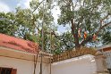IMG_7620