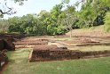 IMG_7698