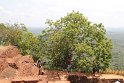 IMG_7797