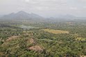IMG_7807