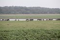 IMG_8004