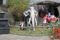IMG_8070
