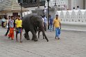 IMG_8187