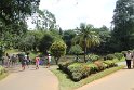 IMG_8260