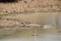 IMG_8536