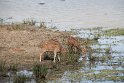 IMG_8555