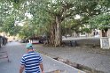 IMG_8680