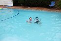 IMG_0710