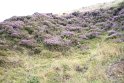 IMG_0635