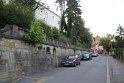 IMG_9461