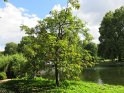 IMG_0272