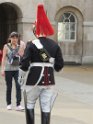 IMG_0482