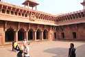 IMG_3984