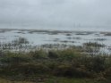 IMG_4733