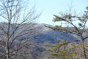 IMG_4500