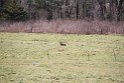 IMG_4510