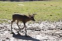 IMG_4513