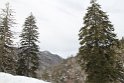 IMG_4542
