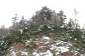 IMG_4543