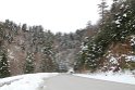 IMG_4544