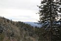 IMG_4553