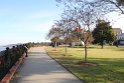 IMG_4383