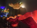 IMG_4290