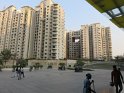 IMG_1984