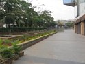 IMG_1988