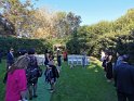 IMG_20190525_144754