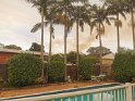 IMG_20191205_185631