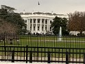IMG_0248