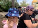 IMG_0471