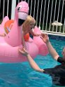 IMG_0484