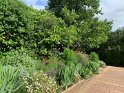 IMG_1491