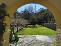 IMG_20200801_110644